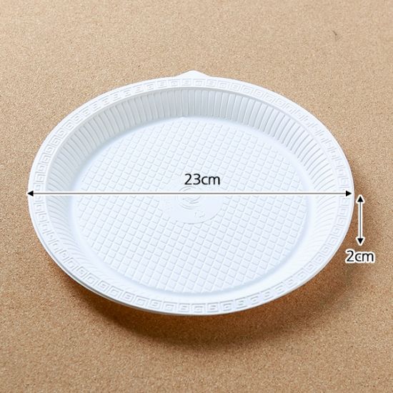 10p 롯데 일회용 접시(23cm)/일회용접시 야외용그릇