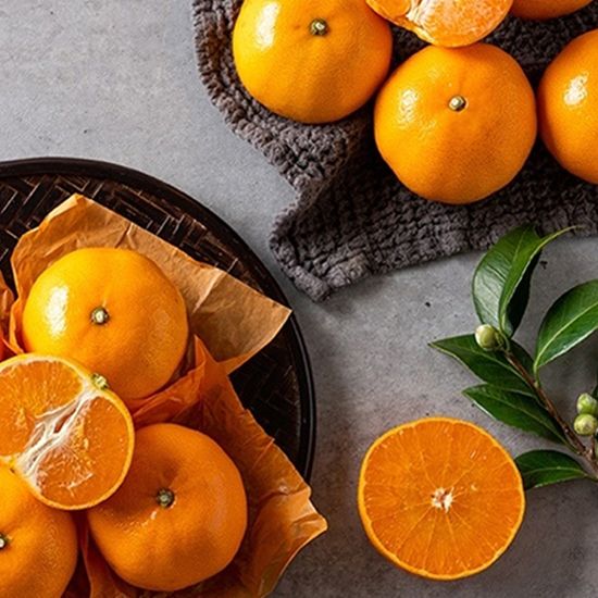 프리미엄 제주 천혜향 과일 선물 대용량 가정용 2kg