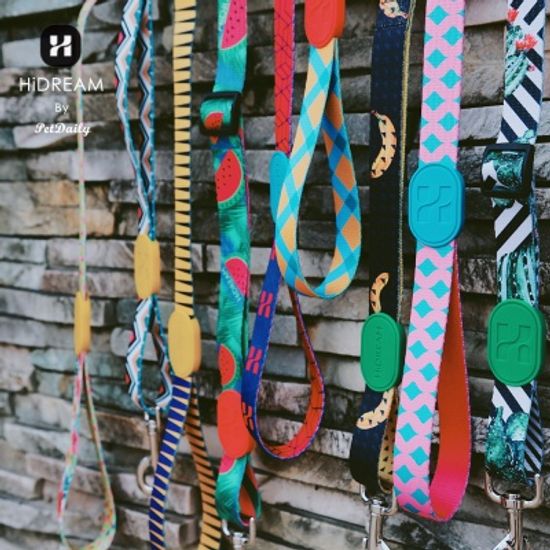 펫데일리 하이드림 유니크 디자인 강아지 리드줄- XS