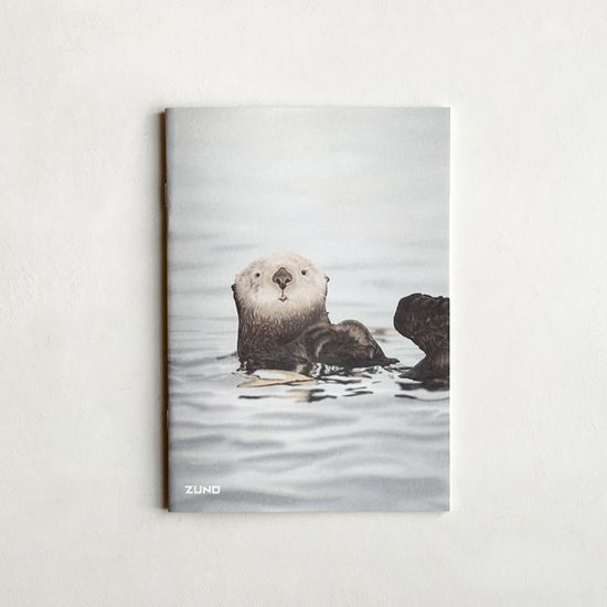 [3+1] 쥬노 신학기 디자인노트_해달