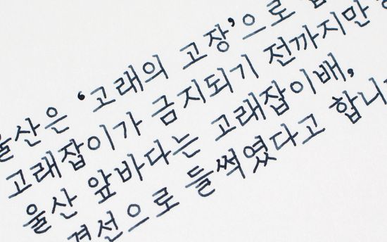 칼라버스 한국잉크 Part 2 혹등고래 15ml