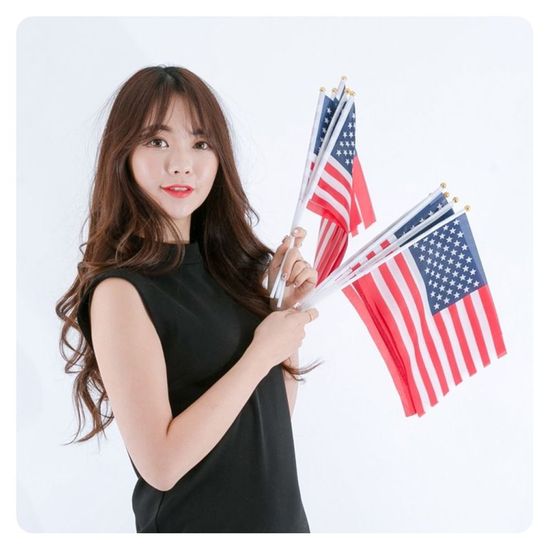 PWM-DK 일체형수기성조기(10개입)성조기(WB076FB)