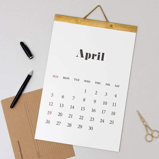 2026 라이프앤피시스 벽걸이 달력