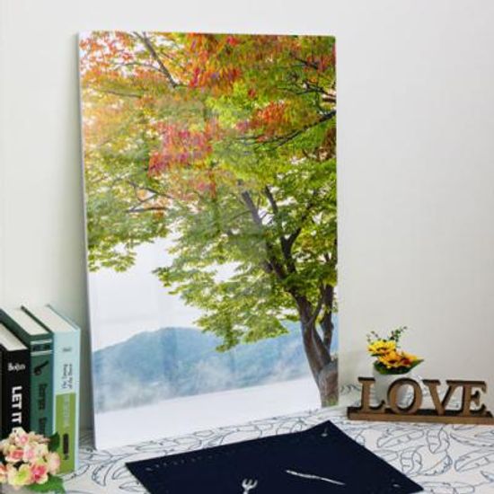 ta929-폼아크릴액자56CmX78Cm세로형_북한강과나무