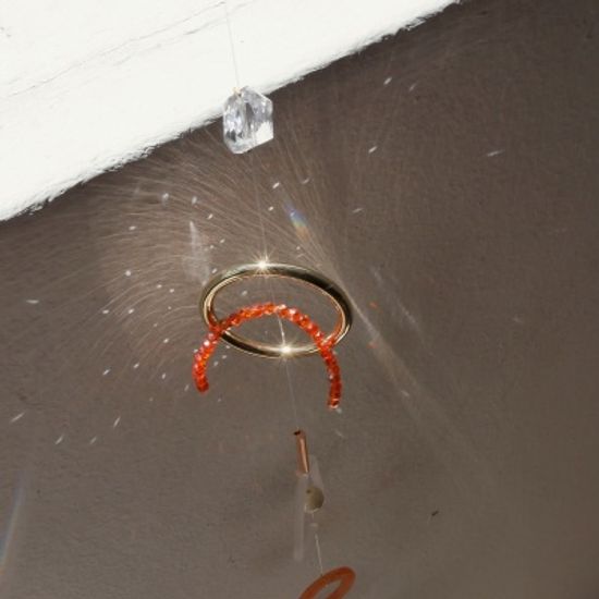 오렌지 도넛 썬캐쳐