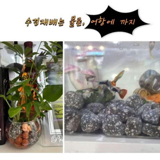 수경재배용 맥반석돌 자연가습 테라리움 아쿠아리움용