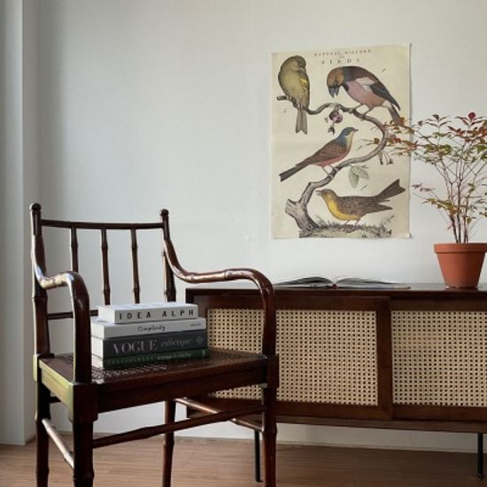 카발리니 일러스트 빈티지포스터 birds