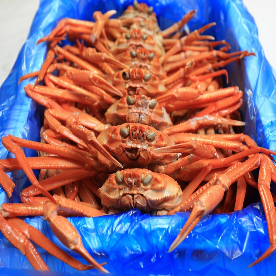 혼술각 치킨보다 싼 자숙 홍게 3kg 7마리 다리만 800g