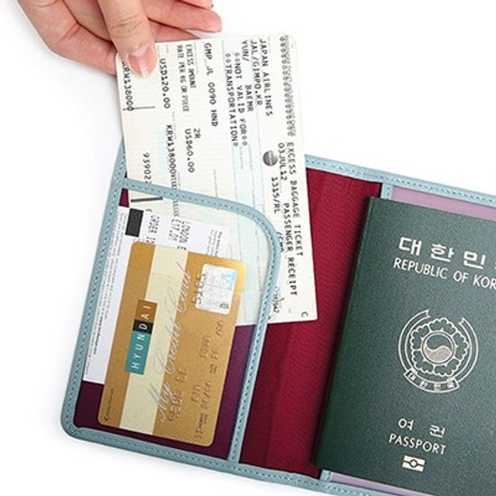 [개인정보보안] CLASSY PLAIN NO SKIMMING PASSPORT MINI