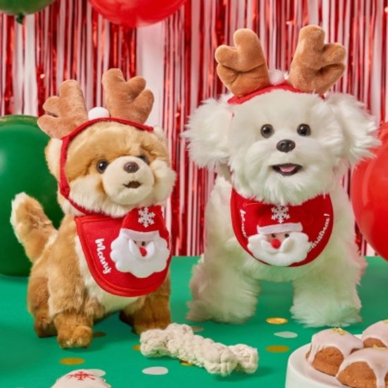 펫레스트 크리스마스 파티키트