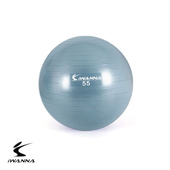 안티 버스트 짐볼 55cm 더스티 블루(WD9D2F4)