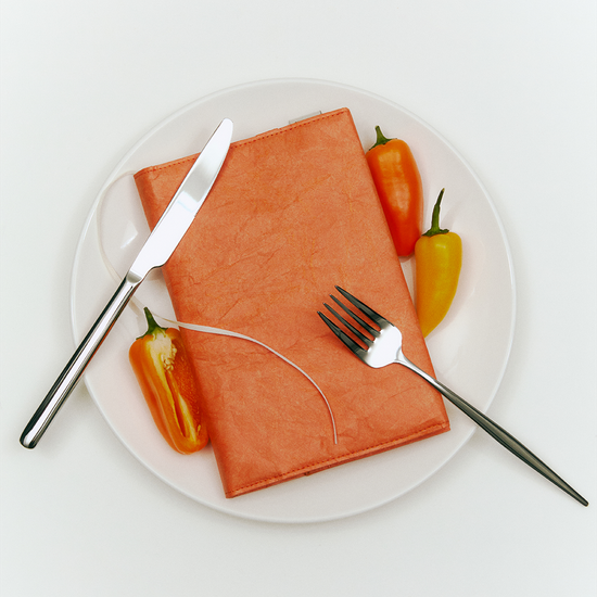 타이벡 프라이빗 북커버 - Warm Red (4 size)