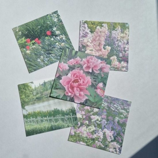 spring garden 엽서세트