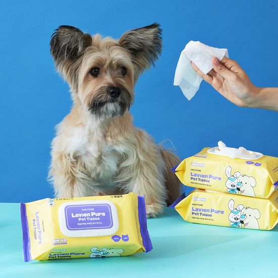 펫생각 데일리케얼 유기농 저자극 강아지 퓨어 펫티슈