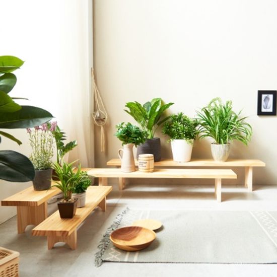 화분받침대 원목정리대(특대형) 다육이선반