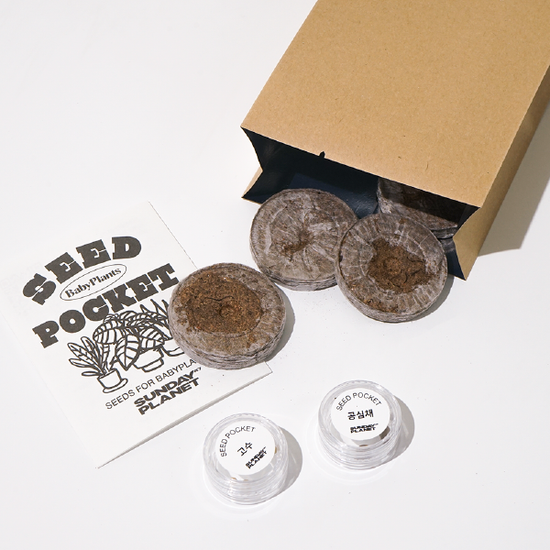 Seed Pocket 씨드포켓