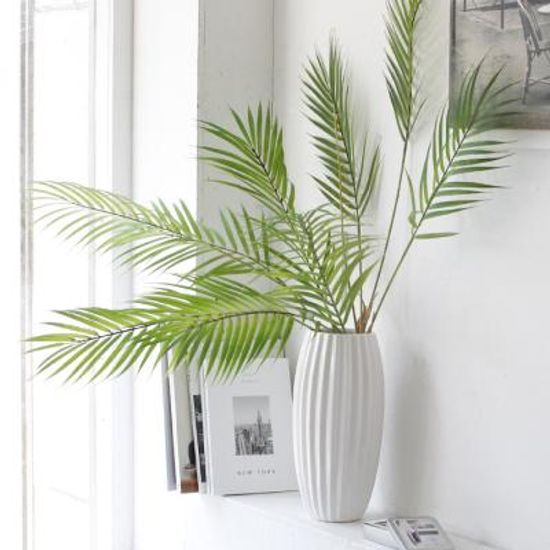 아레카 야자 부쉬