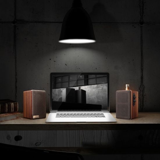 에이튜브 A101V 2채널 진공관 스피커