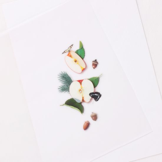 과일스티커_사과