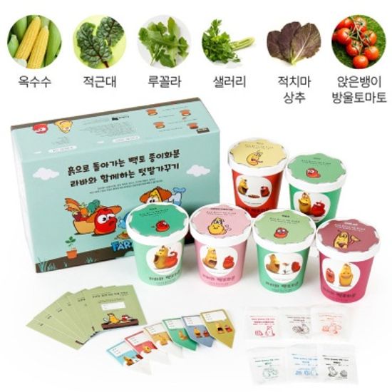 학습용 관찰용 식물키우기 텃밭키우기 6종세트