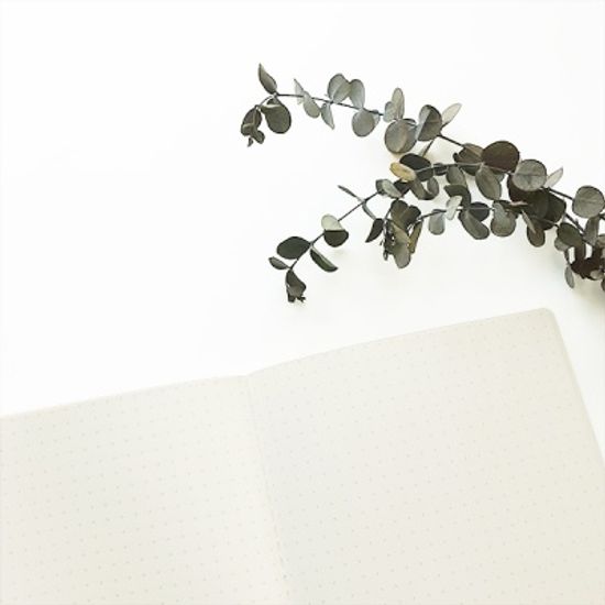 LE CAHIER(M) DOT 노트(M) 도트