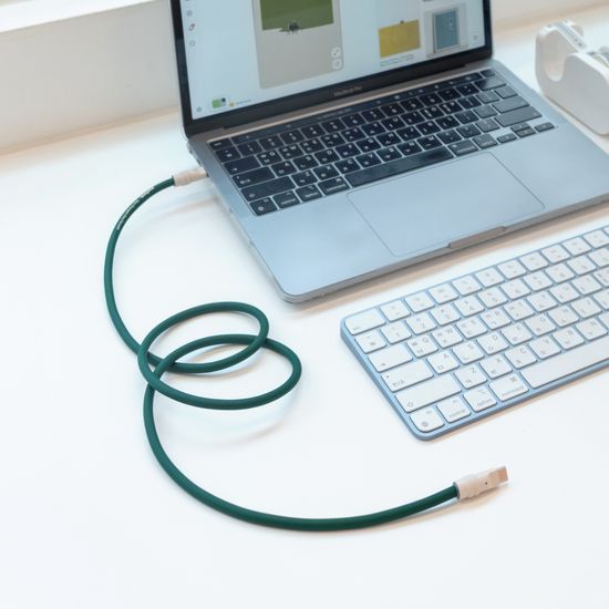 낼나 데일리 케이블 CtoC 충전케이블 (1M)