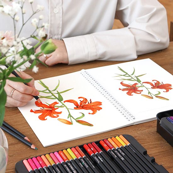 색을 칠하다 (탄생화 컬러링 북) 어른학습지③