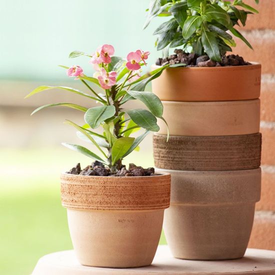 베하몰 바소 팔라디오 16x WB7D125