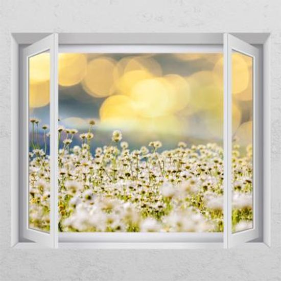 ch218-꽃밭에서_창문그림액자