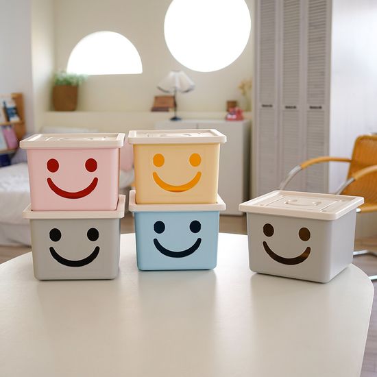 보노하우스 모던 미니 해피박스 1P 수납 정리함