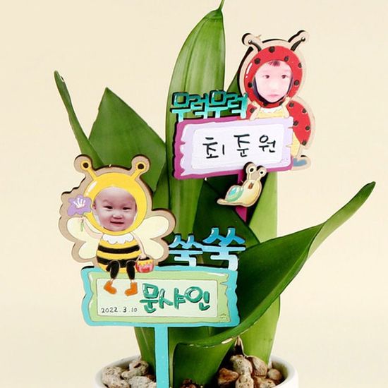 유니아트 (DIY) 토퍼 만들기 식물 (W041)(WFFOMFV)