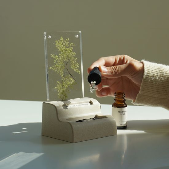 압화 메세지 스톤디퓨저 세트