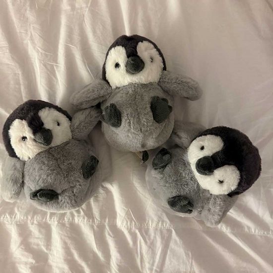 [선레몬] 코로코로 펭귄 부드러운 애착 동물 인형