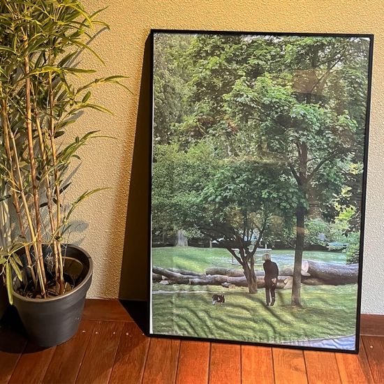 산책 65x90 쉬폰 패브릭포스터