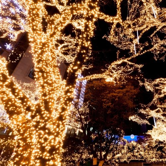 [리빙그로]태양광 100구 검정선 LED 웜색 전구 이벤트