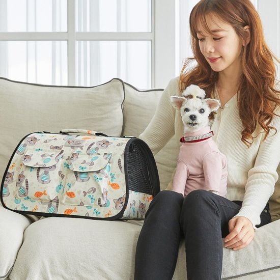 반려동물 강아지 고양이 이동식 가방 Cat Days