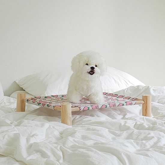 반려동물 조립형 패브릭 침대 3color