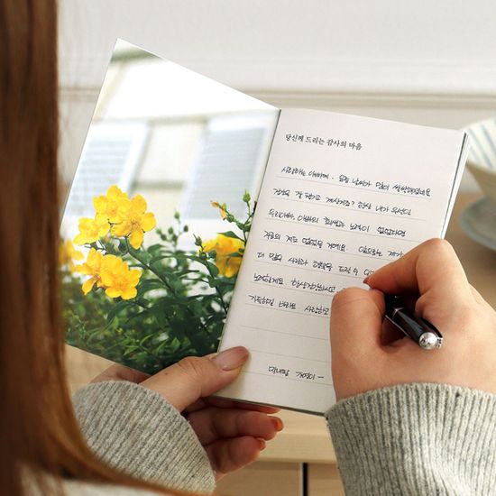 마음사진 감사 메시지 카드북(카드,좋은글,명언,감성)