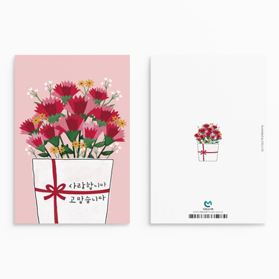 캘리엠 가정의달  HN2502 카네이션 꽃병