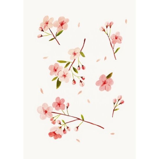 Cherry Blossom / 일러스트 액자