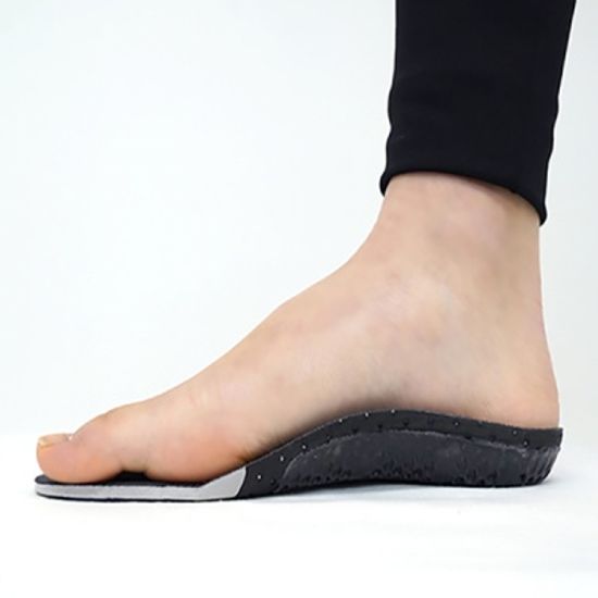 엘크 아치네이쳐