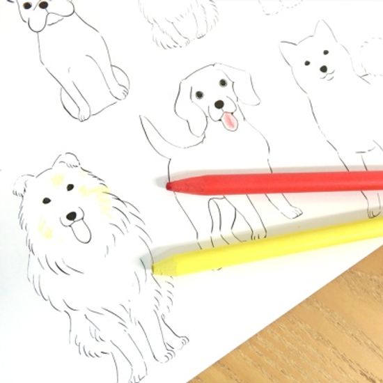 개고양이 컬러링북