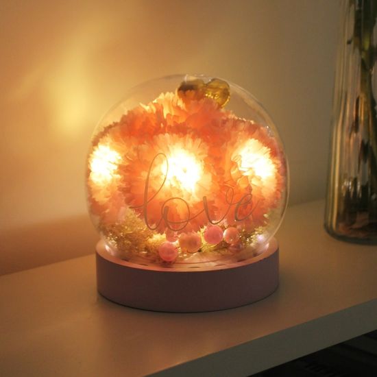 그레이스 핑크 카네이션 LED 무드등