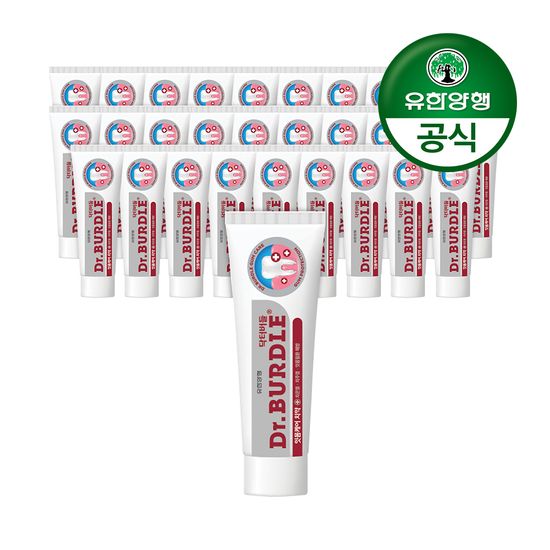 닥터버들 잇몸케어 치약 100g 30개
