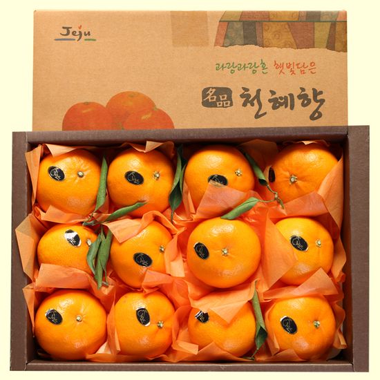 제주도 프리미엄 새콤달콤 천혜향 (15~25과) 5kg