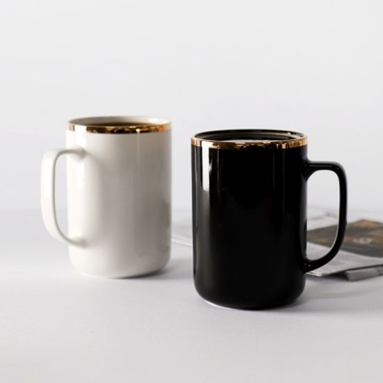 골드라인 빅머그 540ml 2color