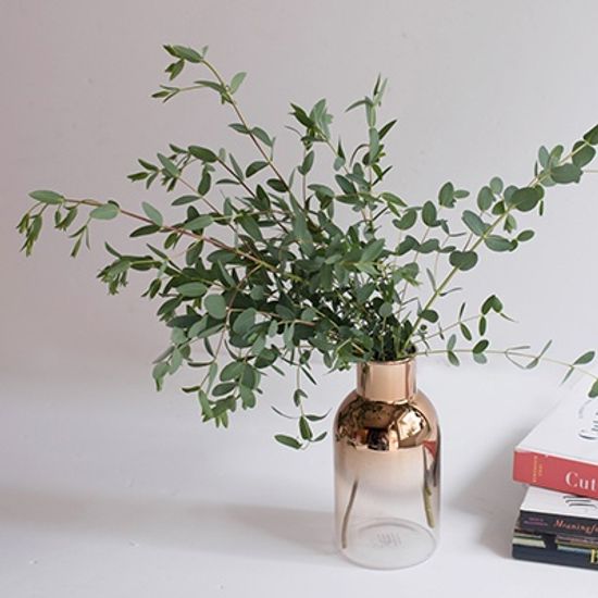 유칼립투스 파블로 향 생화 인테리어 소품