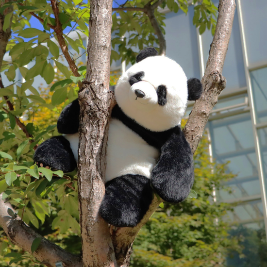 [에버랜드] 푸바오 안아줘 쿠션 인형