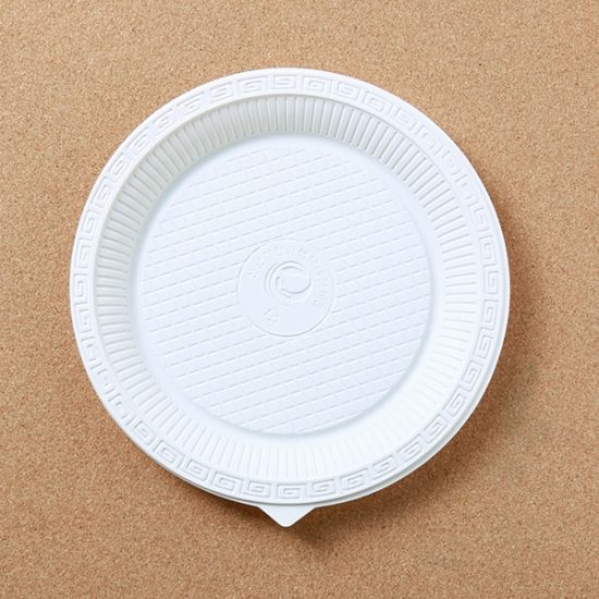 10p 롯데 일회용 접시(20cm)/일회용접시 야외용그릇