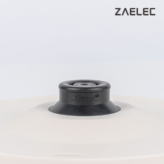 [자일렉] 올스텐 온도조절 전기포트 주전자 ZL-242DK